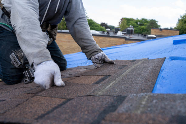 Best Green or Eco-Friendly Roofing Solutions  in Oberlin, OH